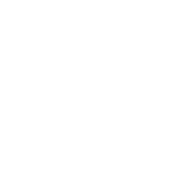 Slander Scan